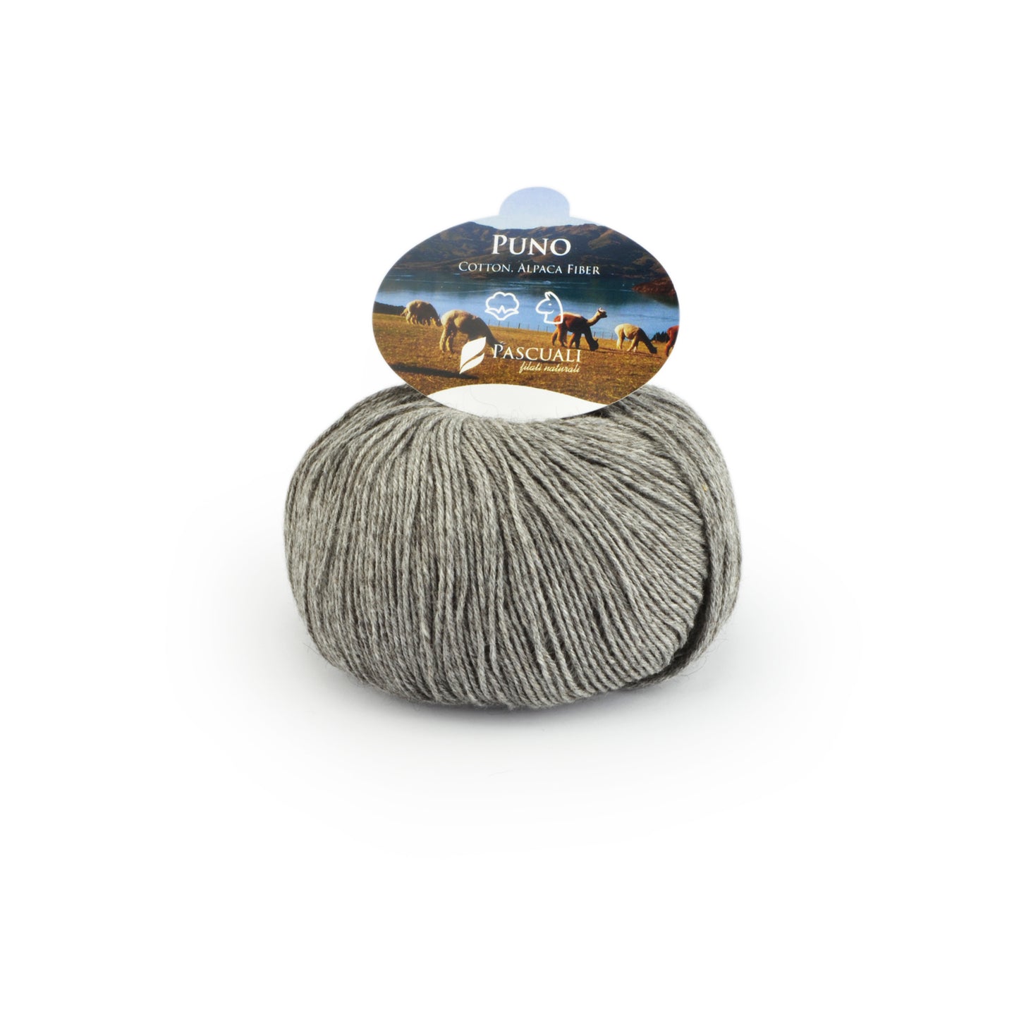 PASCUALI PUNO