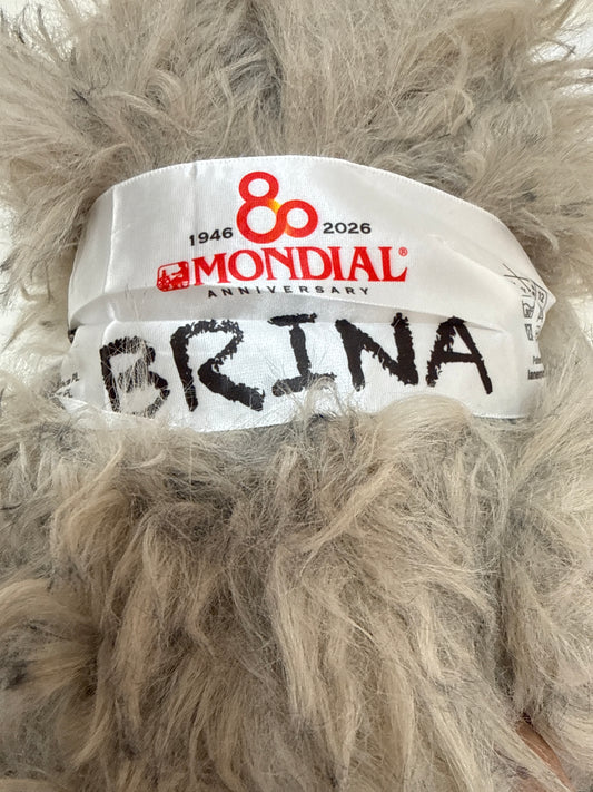 Mondial BRINA