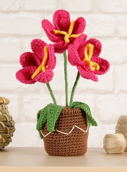 DMC - Kit Amigurumi FLOWER POT