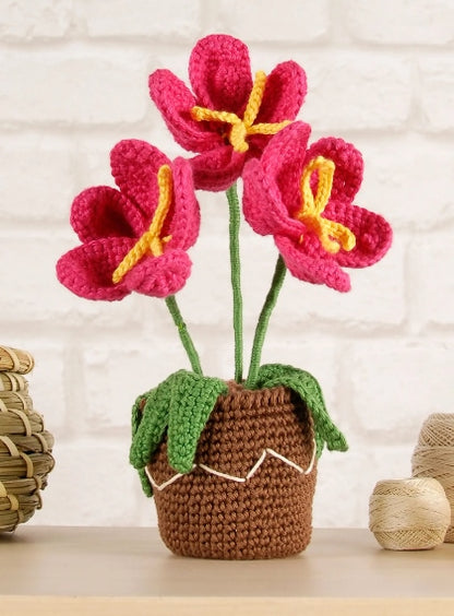 DMC - Kit Amigurumi FLOWER POT