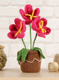 DMC - Kit Amigurumi FLOWER POT